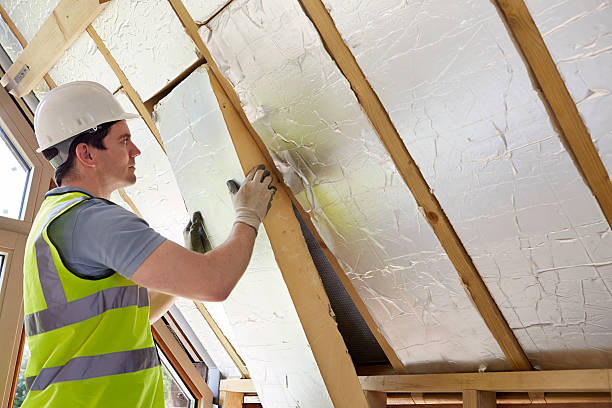Best DIY Insulation Kits and Guidance in Advance, MO