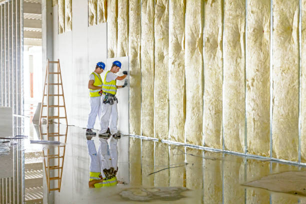 Best Commercial Insulation in Advance, MO